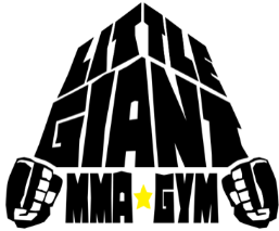 Little Giant Gym